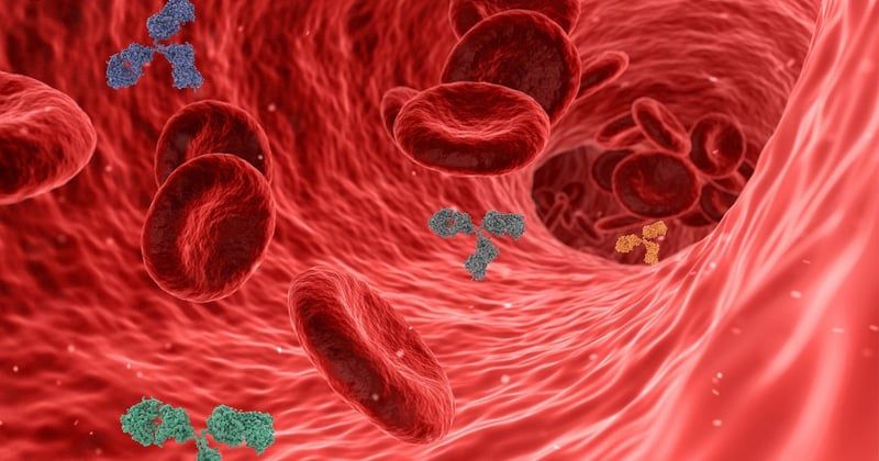 Microplastiques détectés dans les artères humaines : ce que cela signifie pour votre santé