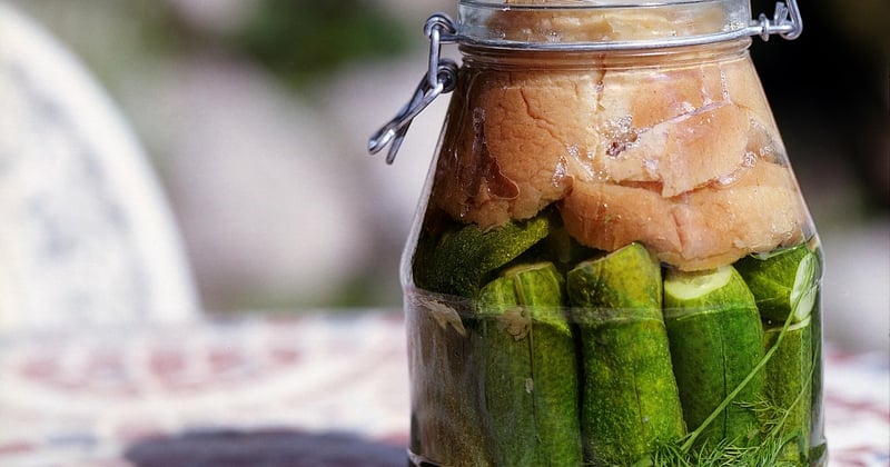 La fermentation maison séduit les urbains : le guide pour s'y mettre
